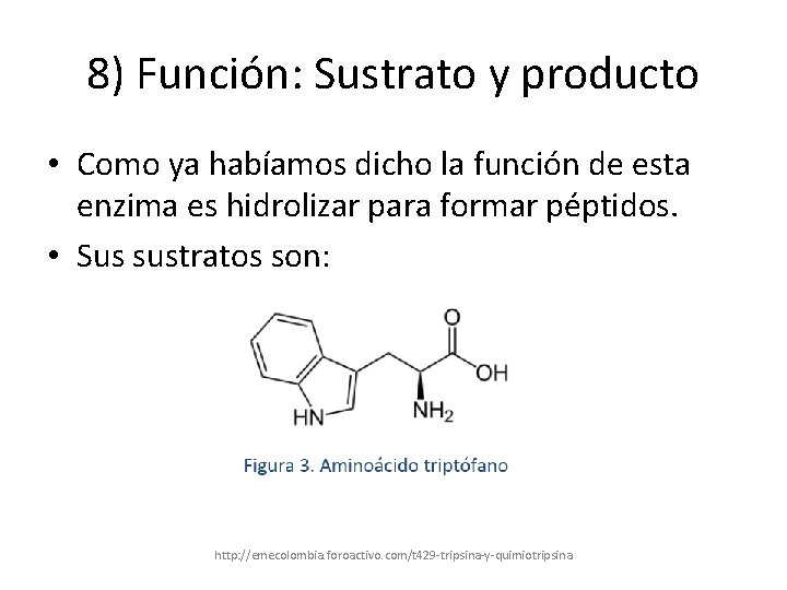 8) Función: Sustrato y producto • Como ya habíamos dicho la función de esta