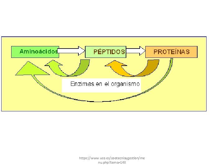 https: //www. uco. es/zootecniaygestion/me nu. php? tema=148 