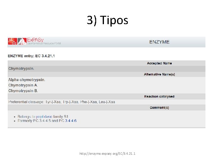 3) Tipos http: //enzyme. expasy. org/EC/3. 4. 21. 1 