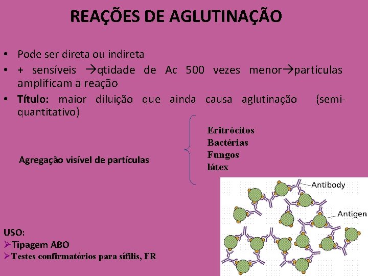 REAÇÕES DE AGLUTINAÇÃO • Pode ser direta ou indireta • + sensíveis qtidade de