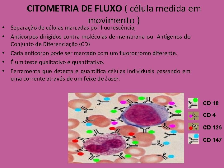 CITOMETRIA DE FLUXO ( célula medida em movimento ) • Separação de células marcadas