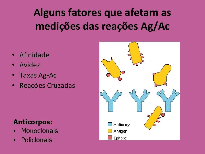 Alguns fatores que afetam as medições das reações Ag/Ac • • Afinidade Avidez Taxas