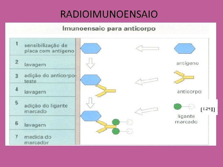 RADIOIMUNOENSAIO 