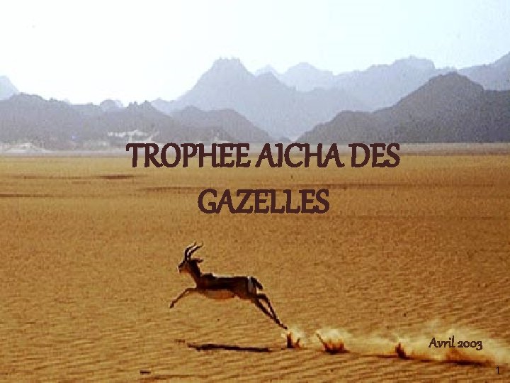 10/2002 TROPHEE AÏCHA DES GAZELLES TROPHEE AICHA DES GAZELLES Avril 2003 CNB/APL 1 