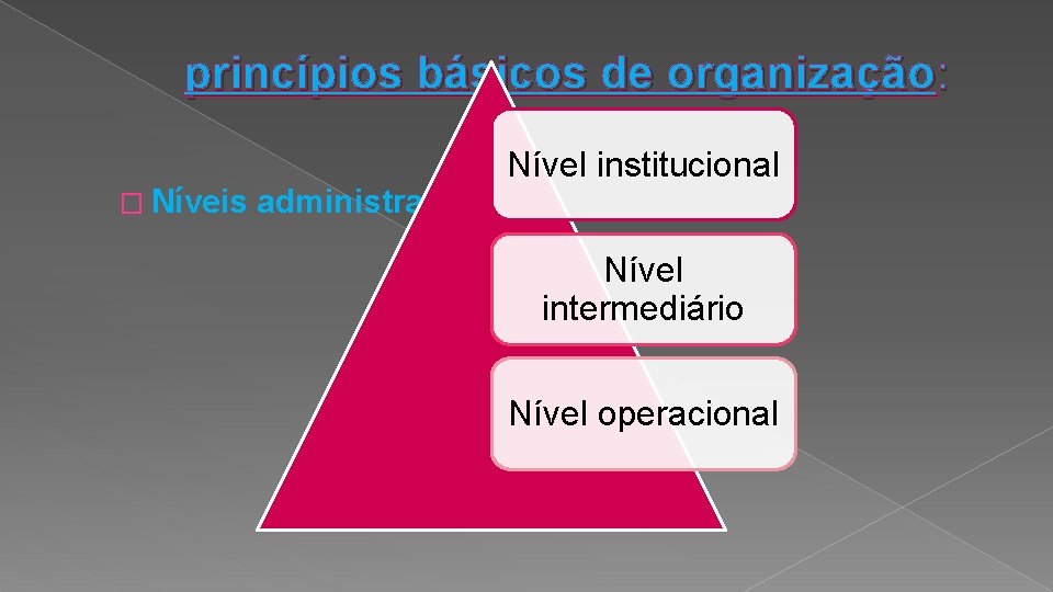 princípios básicos de organização: � Níveis administrativos Nível institucional Nível intermediário Nível operacional 