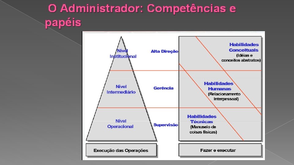 O Administrador: Competências e papéis 