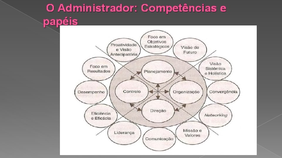 O Administrador: Competências e papéis 
