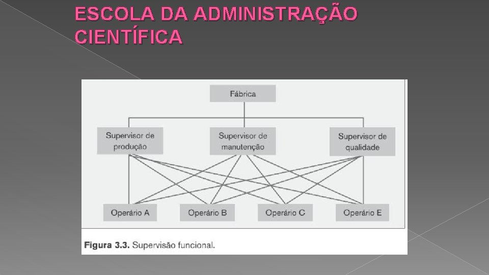 ESCOLA DA ADMINISTRAÇÃO CIENTÍFICA 