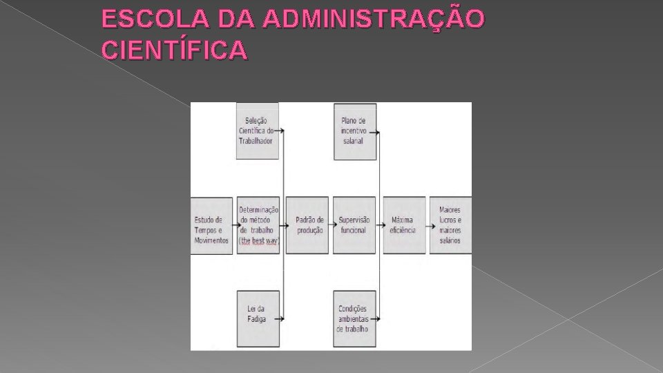 ESCOLA DA ADMINISTRAÇÃO CIENTÍFICA 