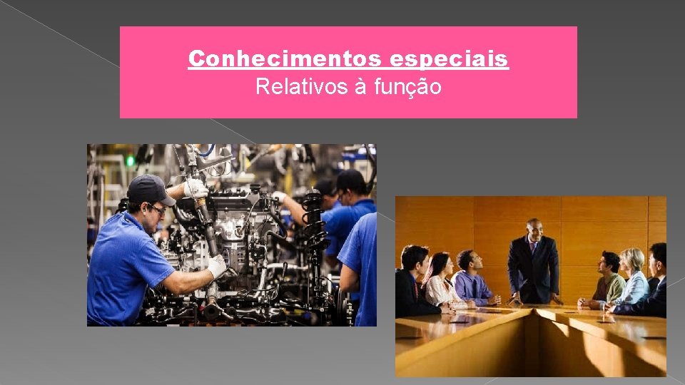 Conhecimentos especiais Relativos à função 89 