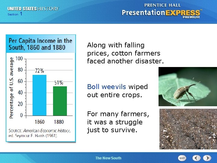 Chapter Section 1 25 Section 1 Along with falling prices, cotton farmers faced another