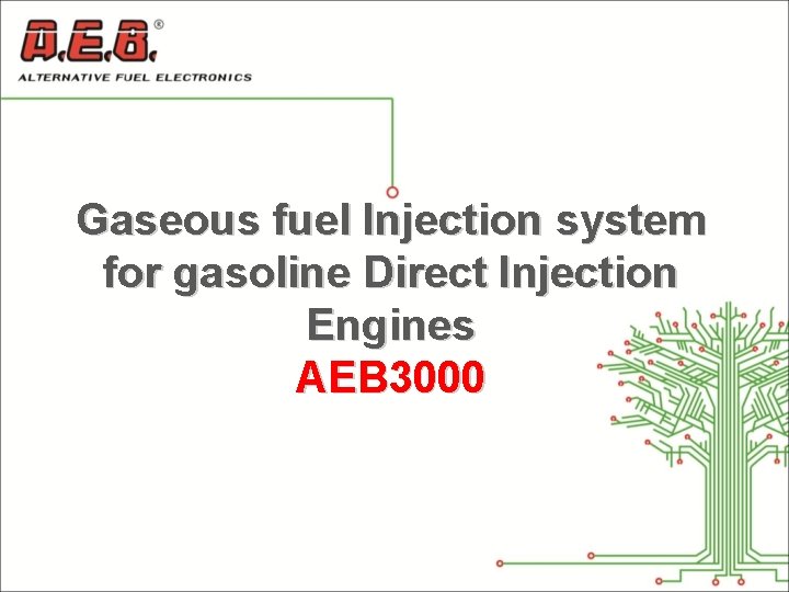 Gaseous fuel Injection system for gasoline Direct Injection Engines AEB 3000 