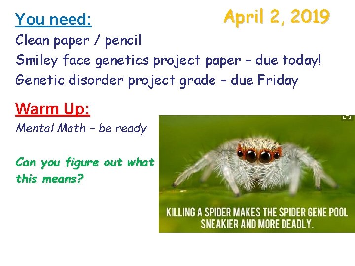 You need: April 2, 2019 Clean paper / pencil Smiley face genetics project paper