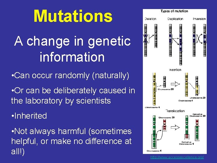 Mutations A change in genetic information • Can occur randomly (naturally) • Or can
