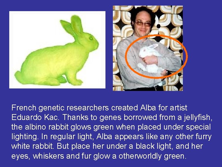 French genetic researchers created Alba for artist Eduardo Kac. Thanks to genes borrowed from