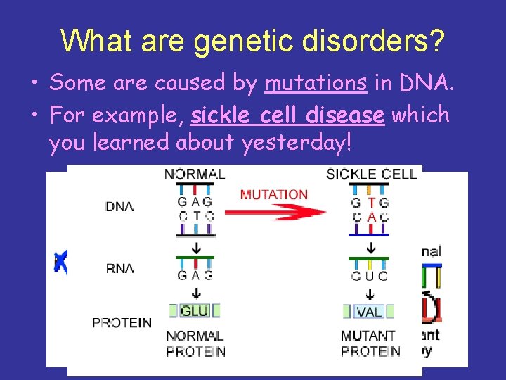 What are genetic disorders? • Some are caused by mutations in DNA. • For