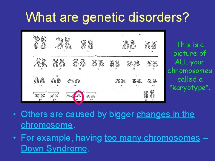 What are genetic disorders? This is a picture of ALL your chromosomes called a
