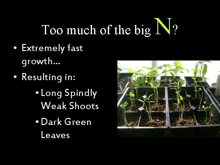 Too much of the big • Extremely fast growth… • Resulting in: • Long