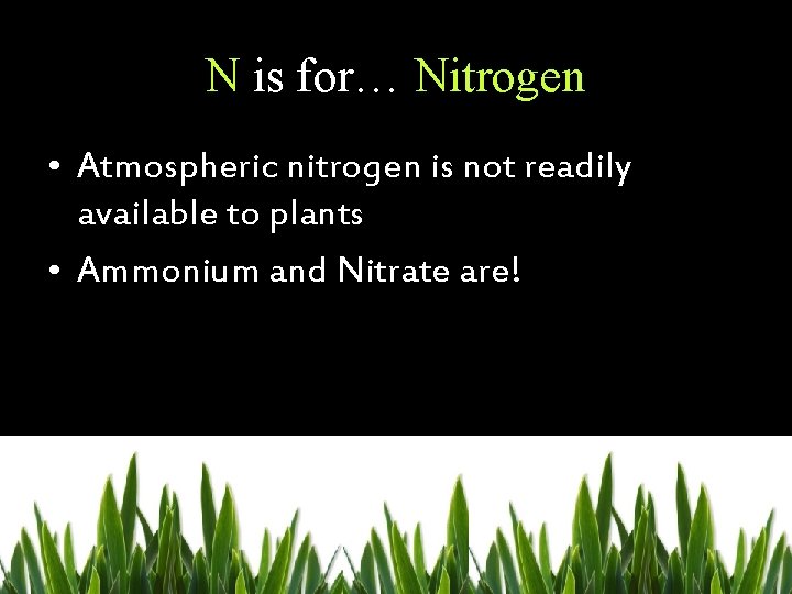 N is for… Nitrogen • Atmospheric nitrogen is not readily available to plants •