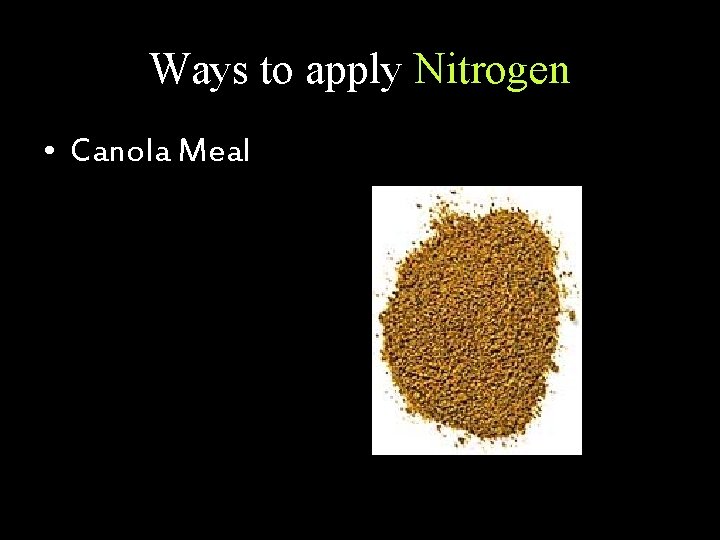 Ways to apply Nitrogen • Canola Meal 