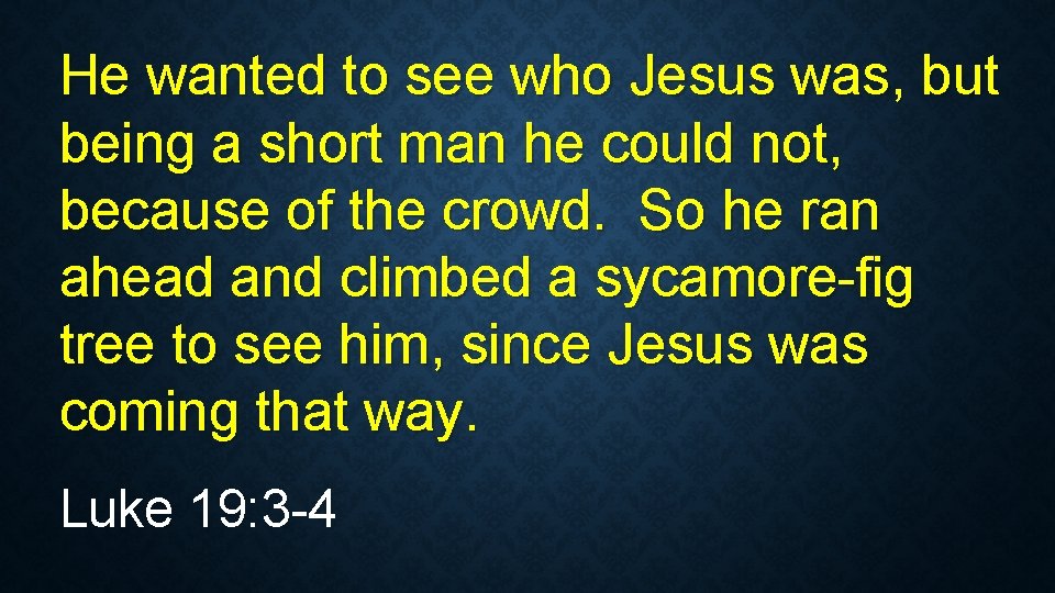 He wanted to see who Jesus was, but being a short man he could He wanted to see who Jesus was, but being a short man he could