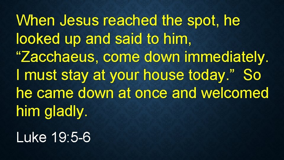 When Jesus reached the spot, he looked up and said to him, “Zacchaeus, come When Jesus reached the spot, he looked up and said to him, “Zacchaeus, come