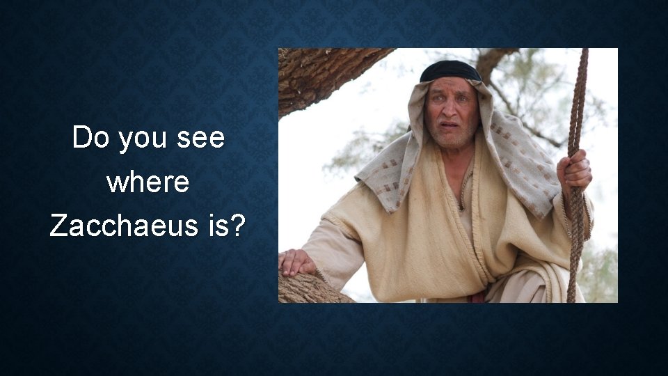 Do you see where Zacchaeus is? Do you see where Zacchaeus is?