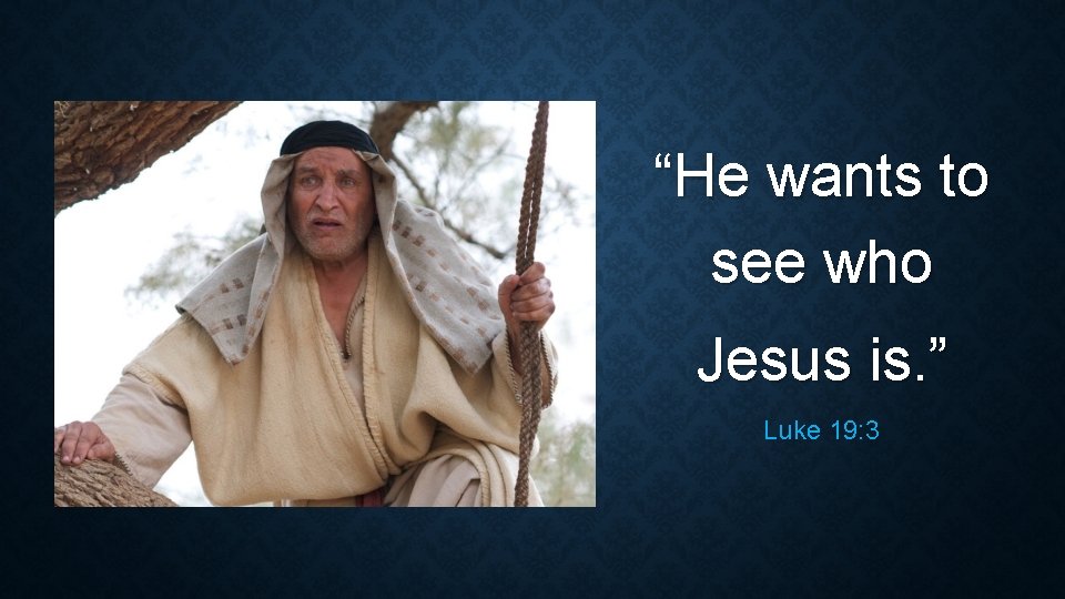 “He wants to see who Jesus is. ” Luke 19: 3 “He wants to see who Jesus is. ” Luke 19: 3