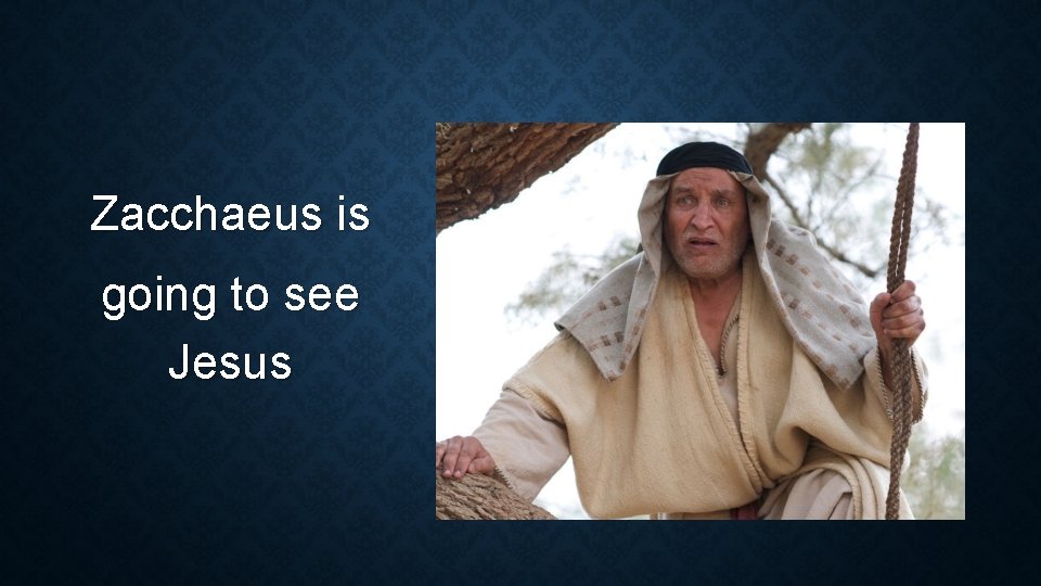 Zacchaeus is going to see Jesus Zacchaeus is going to see Jesus