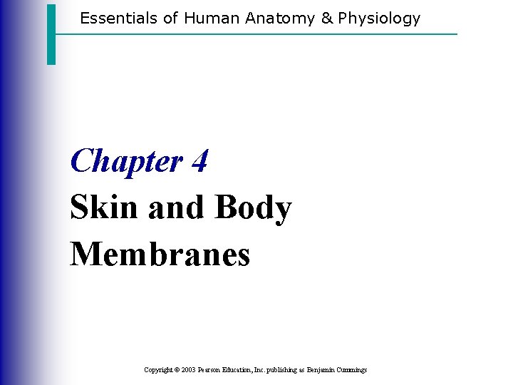 Essentials of Human Anatomy & Physiology Chapter 4 Skin and Body Membranes Copyright ©