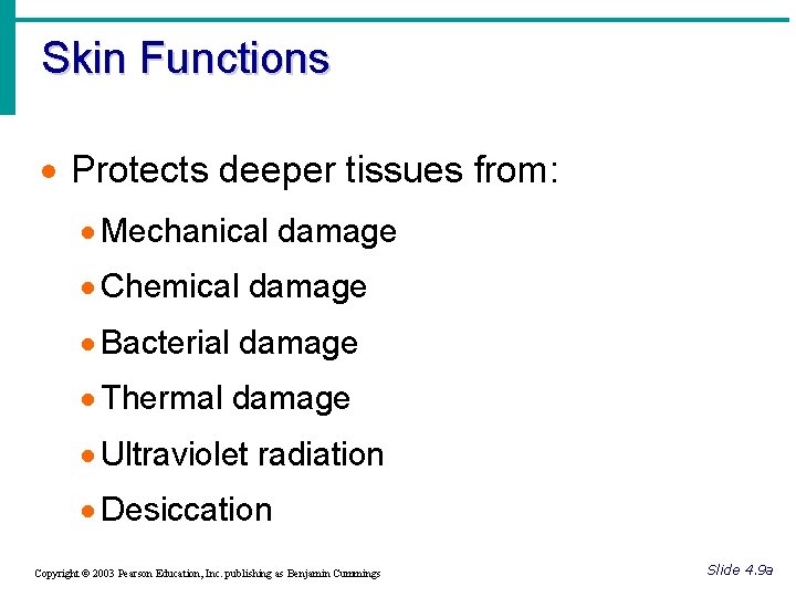 Skin Functions · Protects deeper tissues from: · Mechanical damage · Chemical damage ·