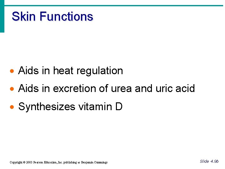 Skin Functions · Aids in heat regulation · Aids in excretion of urea and