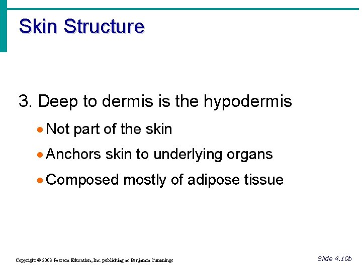 Skin Structure 3. Deep to dermis is the hypodermis · Not part of the