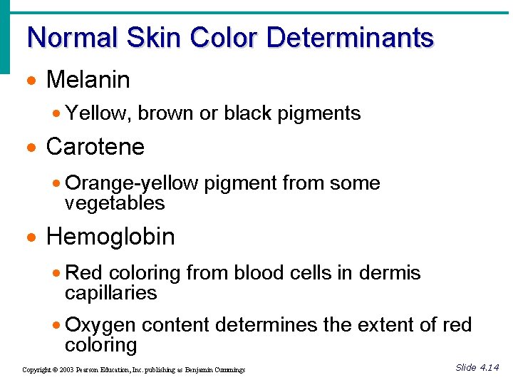 Normal Skin Color Determinants · Melanin · Yellow, brown or black pigments · Carotene