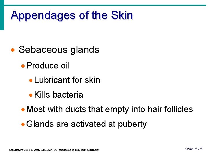 Appendages of the Skin · Sebaceous glands · Produce oil · Lubricant for skin