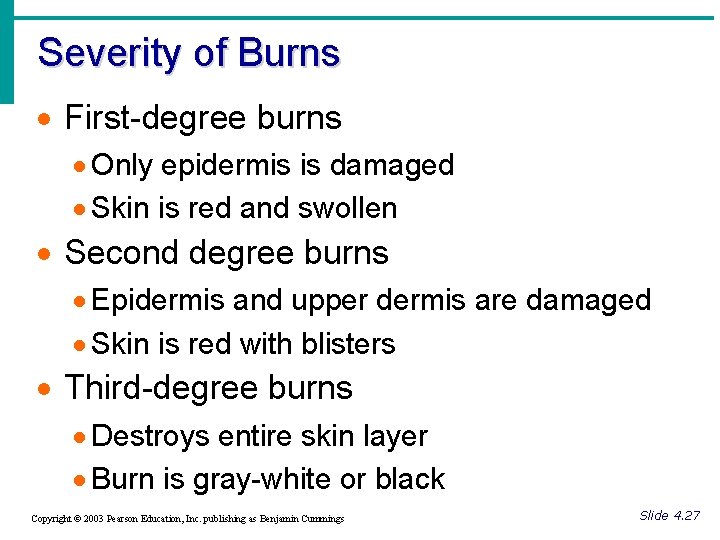 Severity of Burns · First-degree burns · Only epidermis is damaged · Skin is