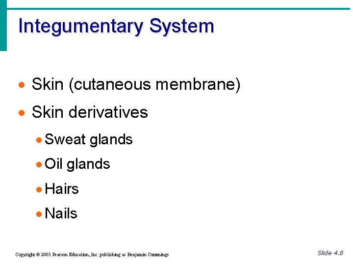 Integumentary System · Skin (cutaneous membrane) · Skin derivatives · Sweat glands · Oil
