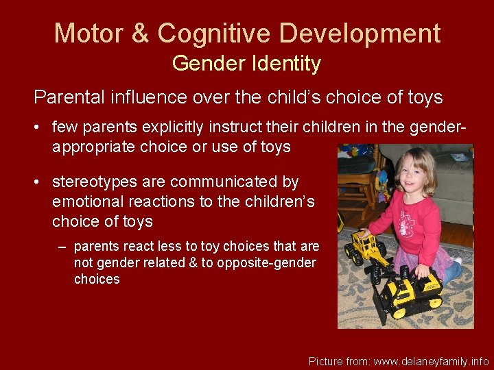 Motor & Cognitive Development Gender Identity Parental influence over the child’s choice of toys