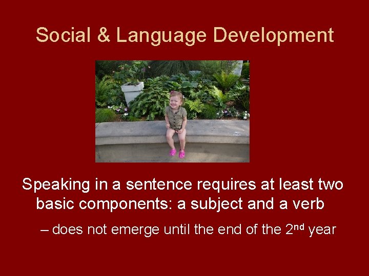 Social & Language Development Speaking in a sentence requires at least two basic components:
