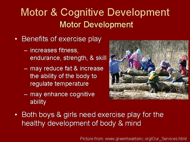 Motor & Cognitive Development Motor Development • Benefits of exercise play – increases fitness,