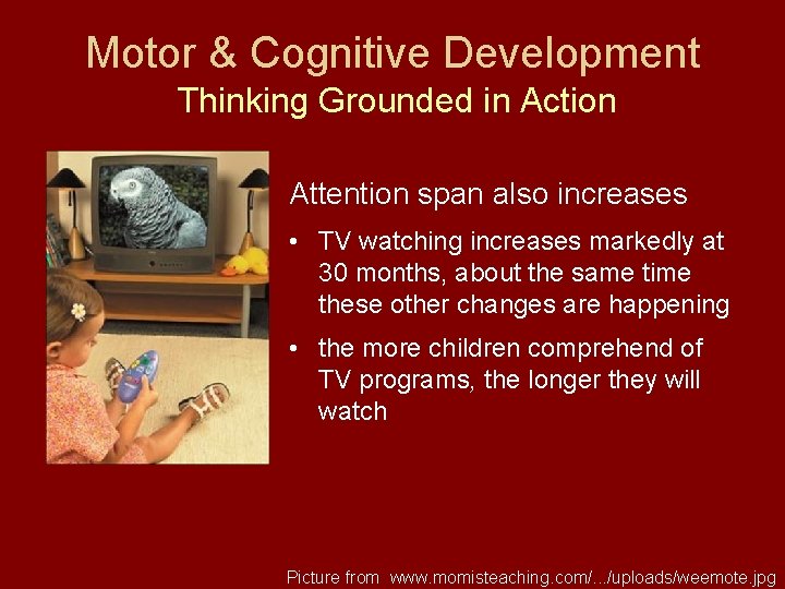 Motor & Cognitive Development Thinking Grounded in Action Attention span also increases • TV