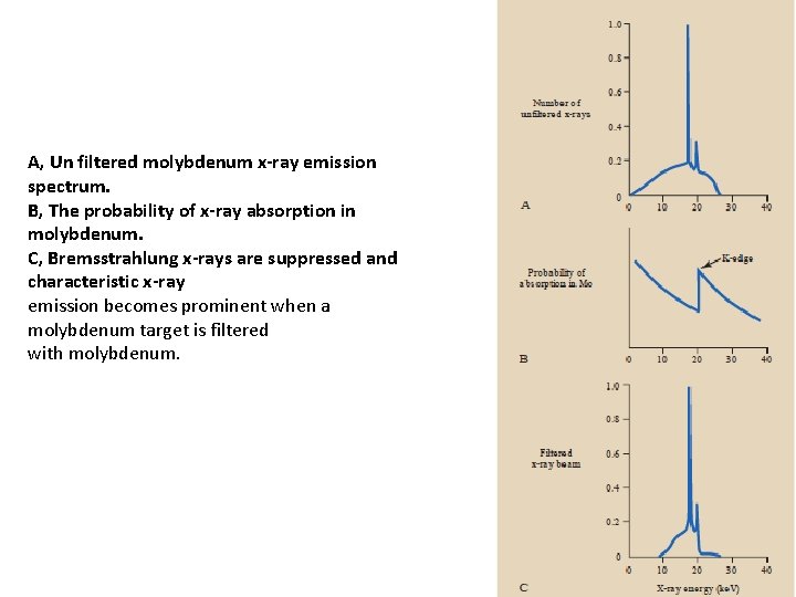 A, Un filtered molybdenum x-ray emission spectrum. B, The probability of x-ray absorption in