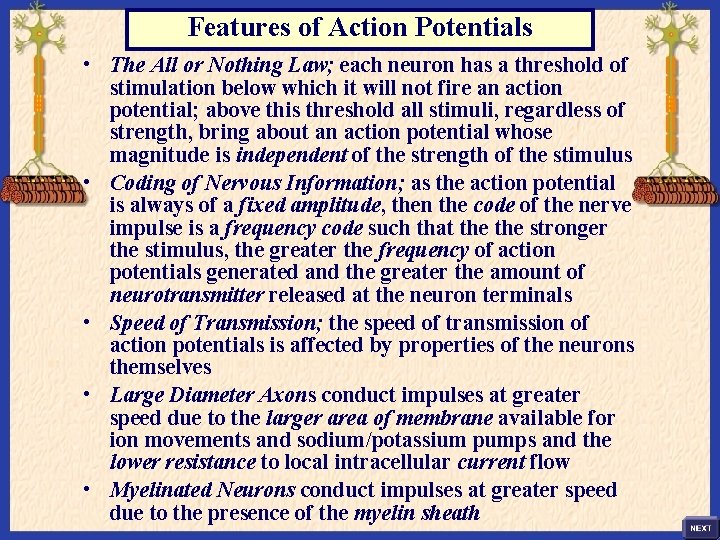 Features of Action Potentials • The All or Nothing Law; each neuron has a