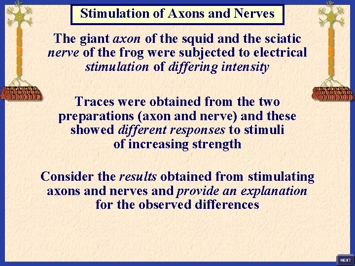 Stimulation of Axons and Nerves The giant axon of the squid and the sciatic