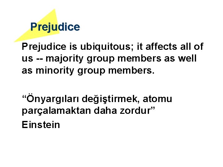 Prejudice is ubiquitous; it affects all of us -- majority group members as well