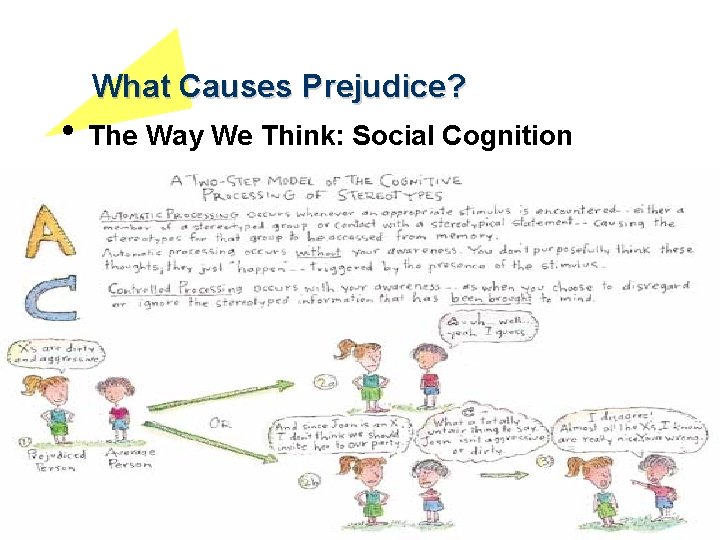 What Causes Prejudice? • The Way We Think: Social Cognition 