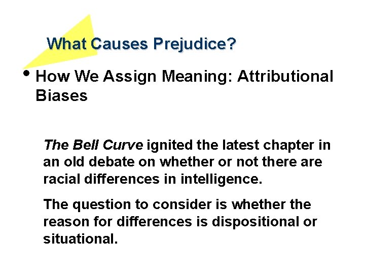 What Causes Prejudice? • How We Assign Meaning: Attributional Biases The Bell Curve ignited