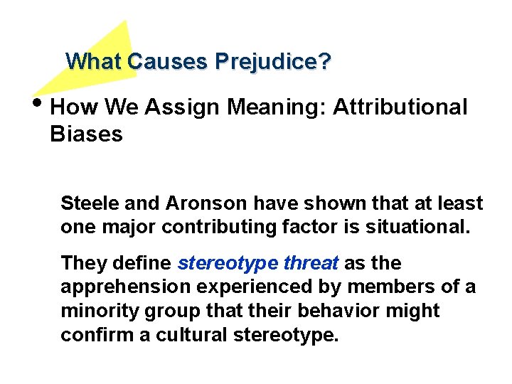 What Causes Prejudice? • How We Assign Meaning: Attributional Biases Steele and Aronson have