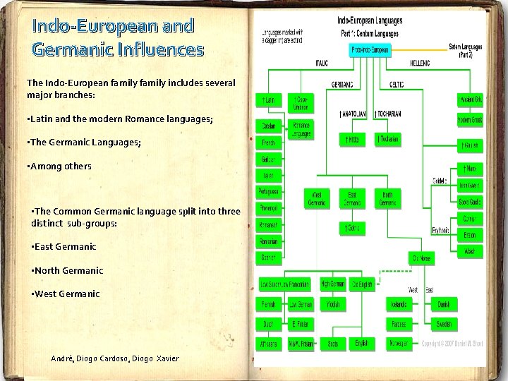 Indo-European and Germanic Influences The Indo-European family includes several major branches: • Latin and