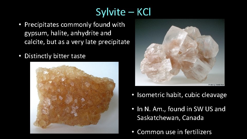 Sylvite – KCl • Precipitates commonly found with gypsum, halite, anhydrite and calcite, but